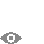 Vision